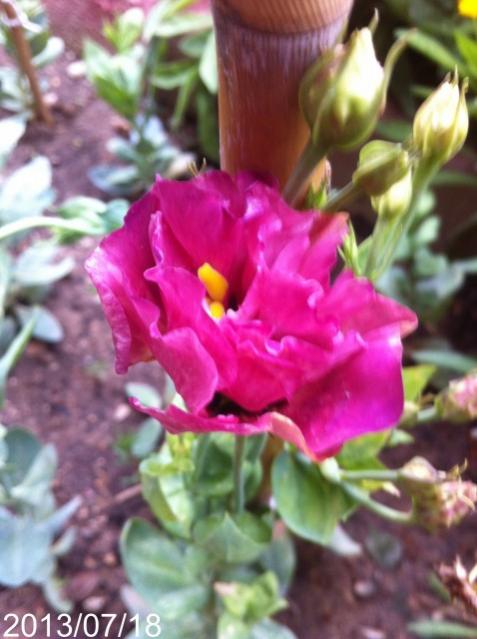 Name:  IMG_6024.jpg
Views: 997
Size:  43.4 KB