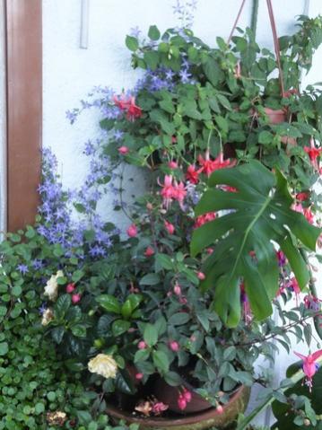 Name:  DSCF7250.jpg
Views: 215
Size:  37.7 KB
