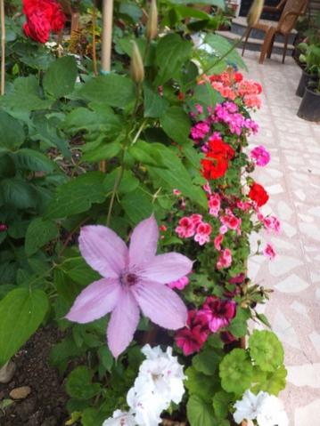 Name:  DSCF7357.jpg
Views: 194
Size:  34.3 KB