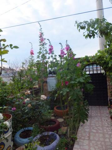 Name:  DSCF7360.jpg
Views: 195
Size:  30.8 KB