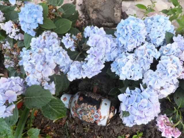 Name:  DSCF7449.jpg
Views: 343
Size:  64.0 KB