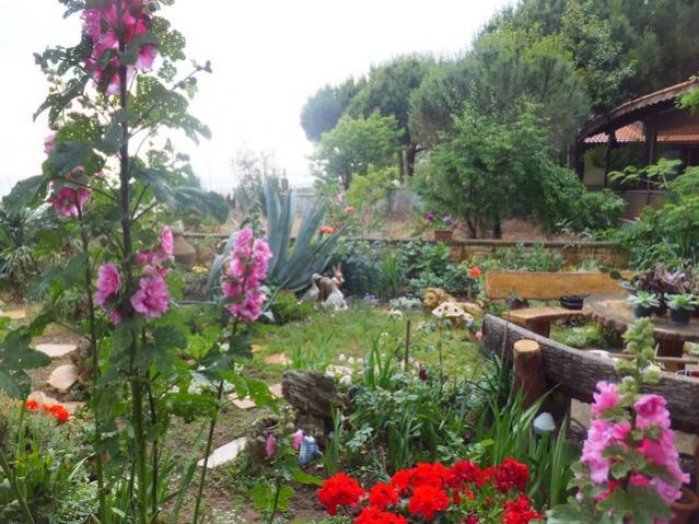 Name:  DSCF7479.jpg
Views: 350
Size:  66.4 KB