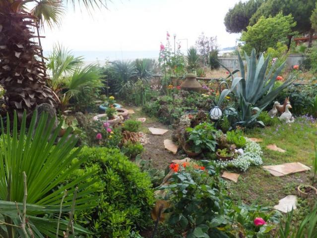 Name:  DSCF7480.jpg
Views: 357
Size:  64.6 KB
