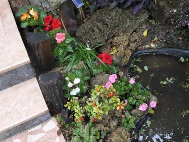 Name:  DSCF7519.jpg
Views: 292
Size:  62.0 KB