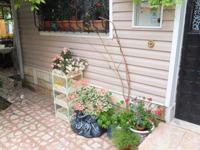 Name:  DSCF7520.jpg
Views: 294
Size:  51.9 KB