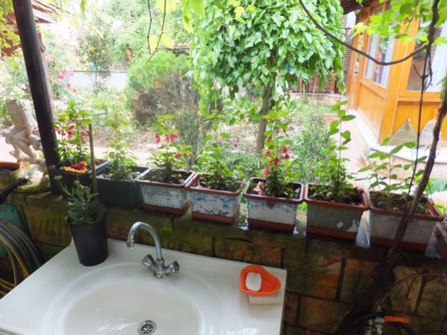 Name:  DSCF7527.jpg
Views: 309
Size:  61.1 KB