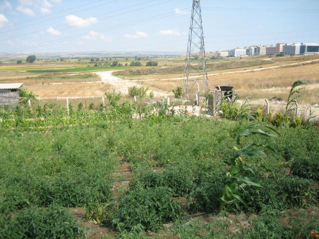 Name:  atalca 015.jpg
Views: 1269
Size:  70.1 KB