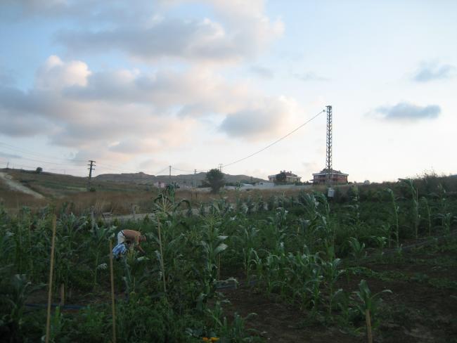 Name:  atalca 026.jpg
Views: 1256
Size:  33.1 KB