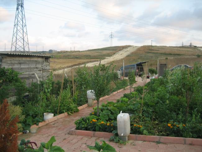 Name:  atalca 025.jpg
Views: 1302
Size:  51.5 KB