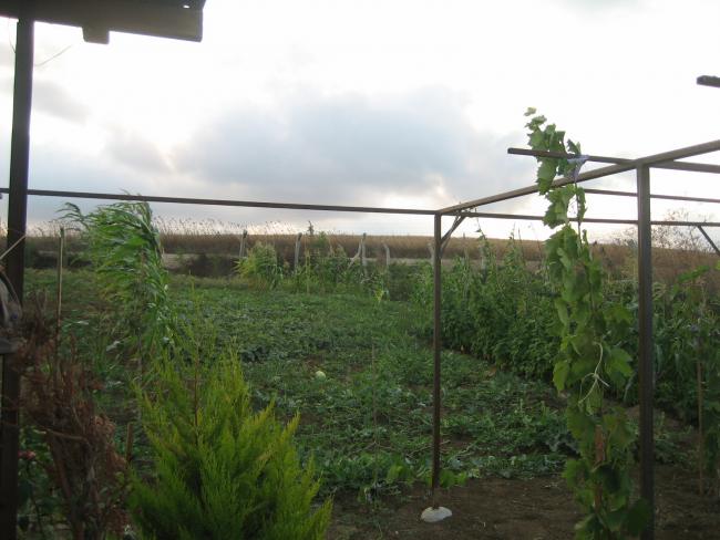 Name:  atalca 030.jpg
Views: 1323
Size:  44.7 KB