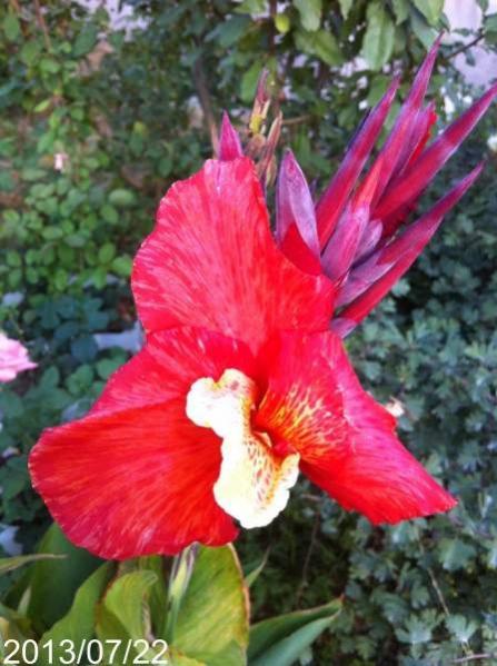Name:  image.jpg
Views: 943
Size:  46.2 KB