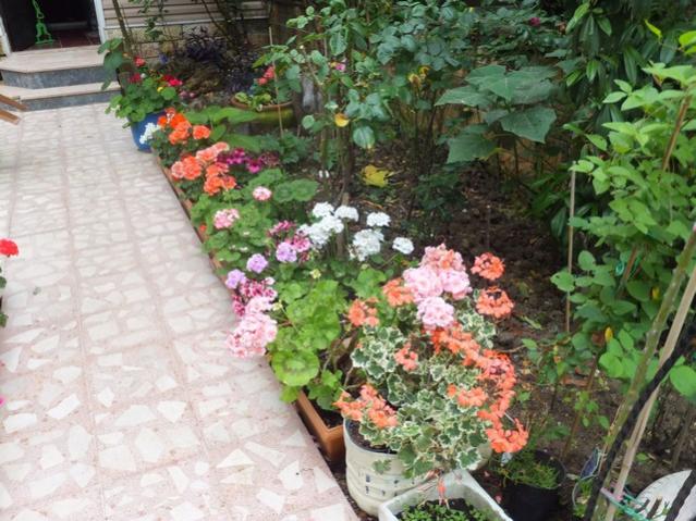 Name:  DSCF7582.jpg
Views: 306
Size:  64.9 KB