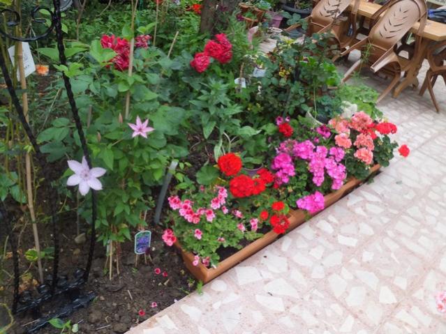 Name:  DSCF7583.jpg
Views: 311
Size:  64.4 KB