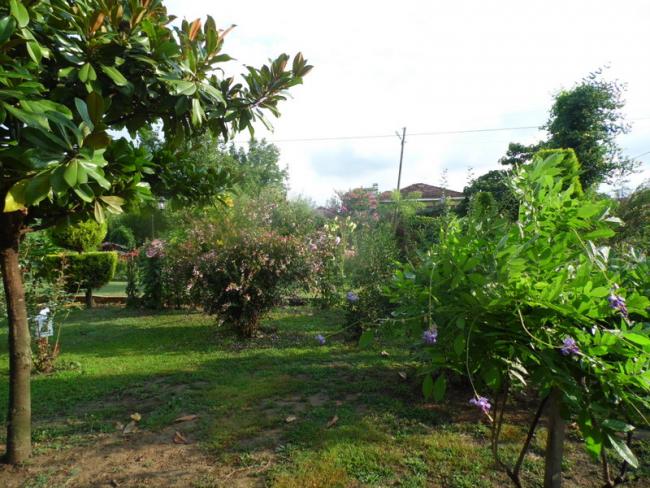 Name:  021-057.jpg
Views: 589
Size:  68.4 KB