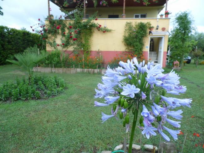 Name:  105-141.jpg
Views: 630
Size:  62.1 KB