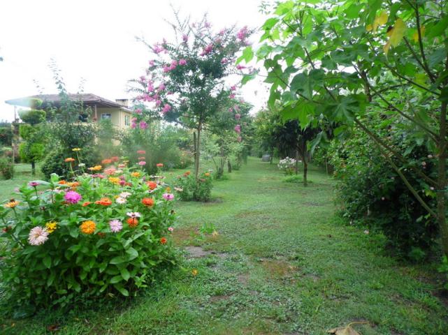 Name:  072-116.jpg
Views: 652
Size:  70.2 KB
