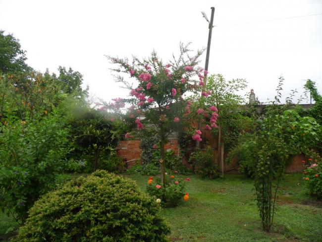 Name:  049-093.jpg
Views: 619
Size:  56.2 KB