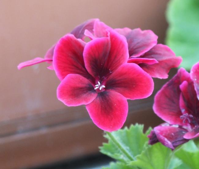 Name:  DSCF1586.jpg
Views: 433
Size:  31.5 KB