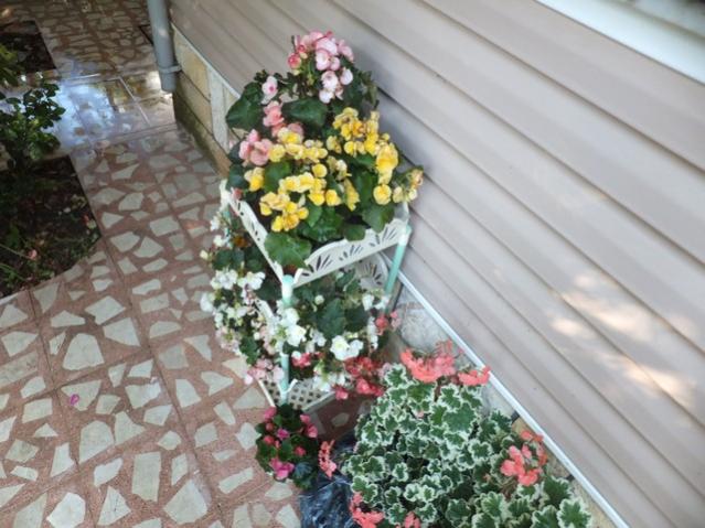Name:  DSCF7647.jpg
Views: 240
Size:  53.9 KB