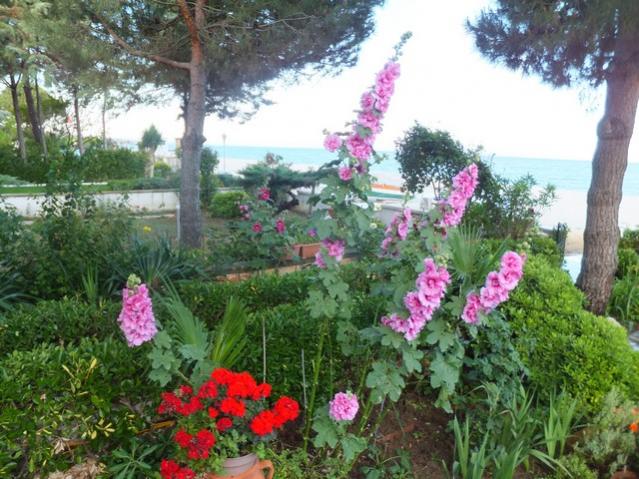 Name:  DSCF7666.jpg
Views: 224
Size:  68.0 KB