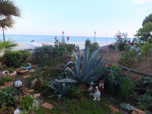 Name:  DSCF7671.jpg
Views: 214
Size:  47.1 KB