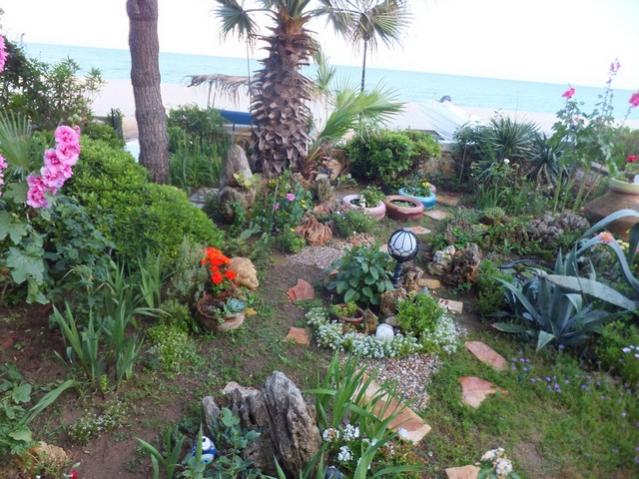 Name:  DSCF7673.jpg
Views: 218
Size:  66.1 KB
