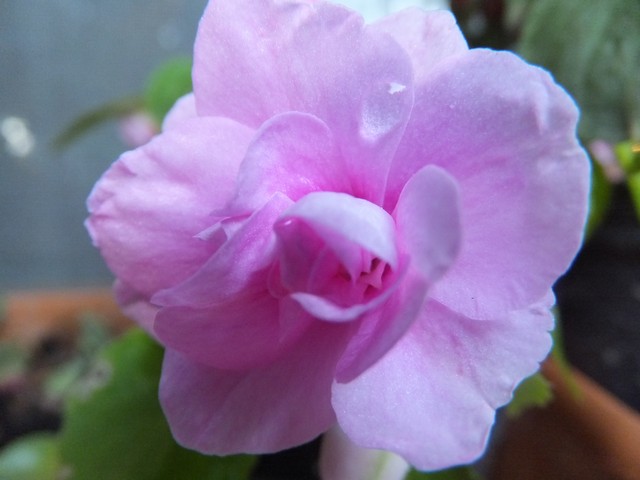 Name:  DSCF7726.jpg
Views: 230
Size:  59.0 KB