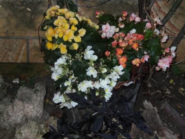 Name:  DSCF7739.jpg
Views: 192
Size:  53.1 KB