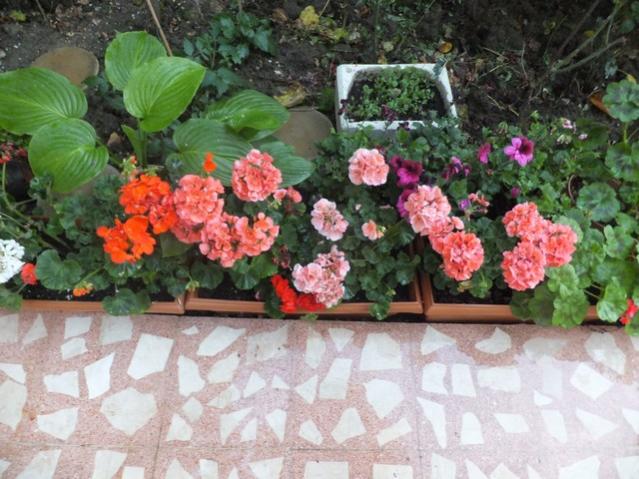 Name:  DSCF7759.jpg
Views: 183
Size:  58.9 KB