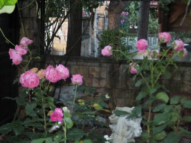 Name:  DSCF7772.jpg
Views: 187
Size:  46.8 KB