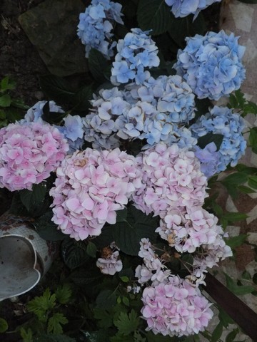 Name:  DSCF7804.jpg
Views: 368
Size:  68.0 KB