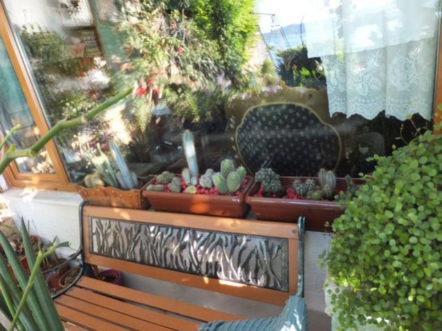 Name:  DSCF7814.jpg
Views: 357
Size:  60.2 KB