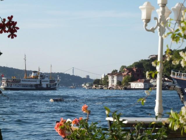 Name:  DSCF7846.jpg
Views: 324
Size:  44.1 KB