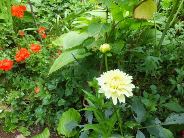 Name:  DSCF7886.jpg
Views: 302
Size:  68.0 KB