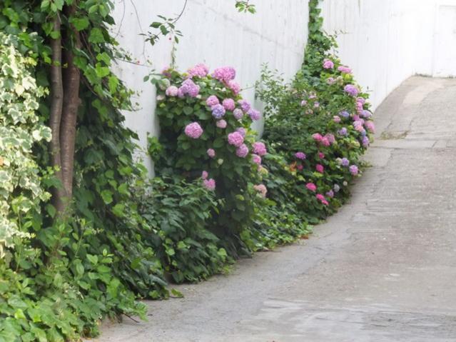 Name:  DSCF7914.jpg
Views: 311
Size:  56.1 KB