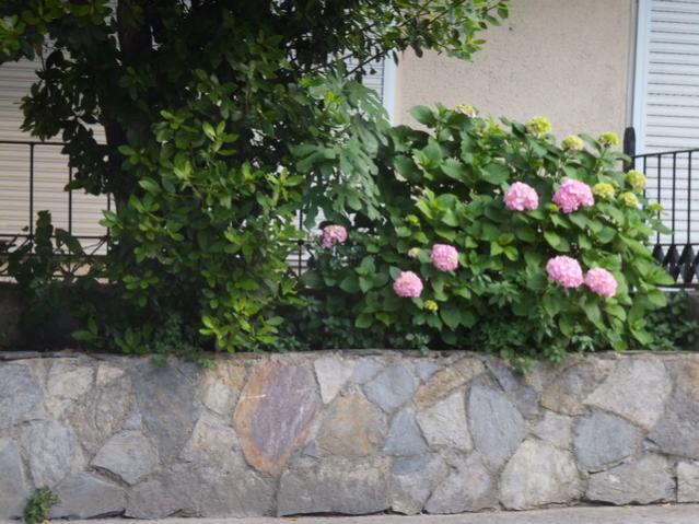 Name:  DSCF7915.jpg
Views: 317
Size:  57.8 KB