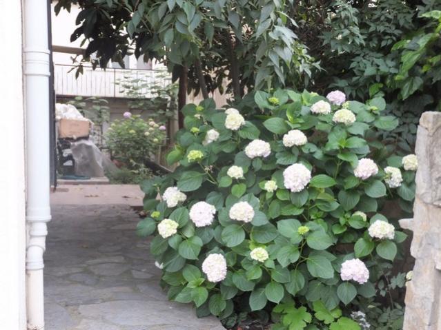 Name:  DSCF7916.jpg
Views: 347
Size:  58.0 KB