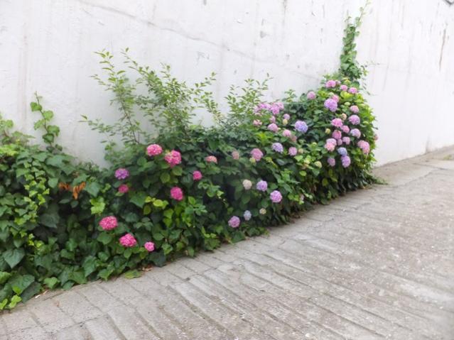Name:  DSCF7923.jpg
Views: 333
Size:  49.3 KB