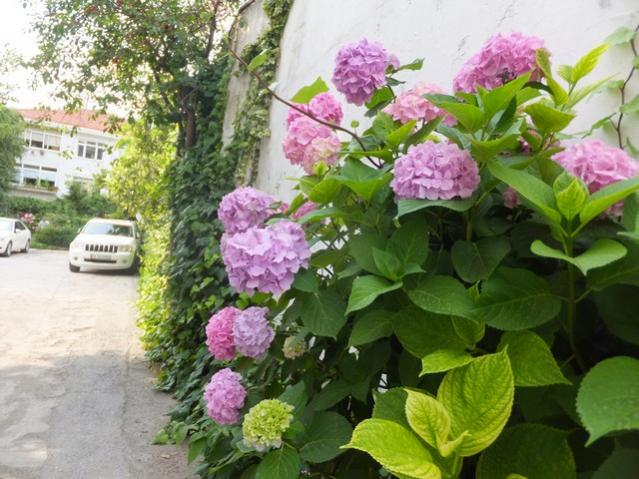 Name:  DSCF7934.jpg
Views: 326
Size:  59.6 KB