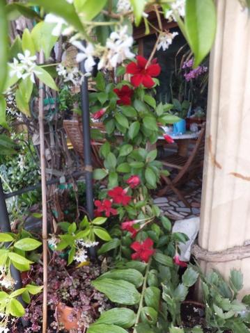 Name:  DSCF7959.jpg
Views: 337
Size:  38.9 KB