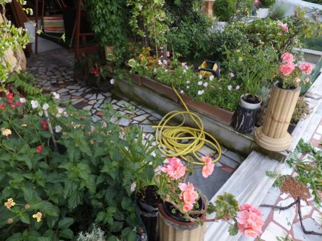 Name:  DSCF7980.jpg
Views: 251
Size:  67.9 KB