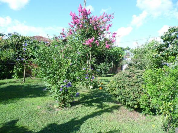 Name:  39-048.jpg
Views: 452
Size:  71.9 KB