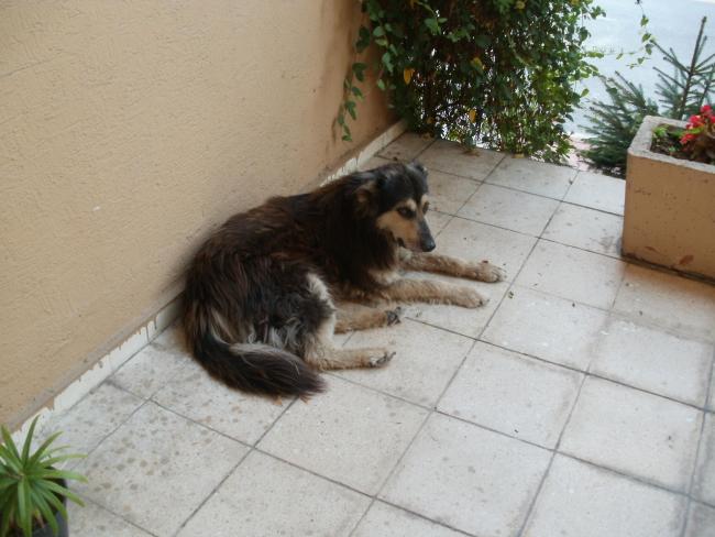 Name:  P1010312a.jpg
Views: 352
Size:  44.8 KB