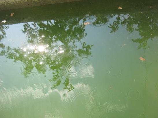 Name:  yamur.jpg
Views: 1141
Size:  25.8 KB