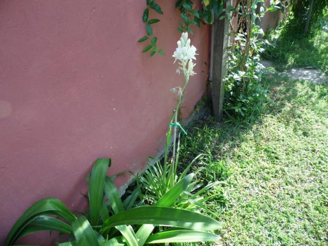 Name:  127-131.jpg
Views: 1066
Size:  62.1 KB