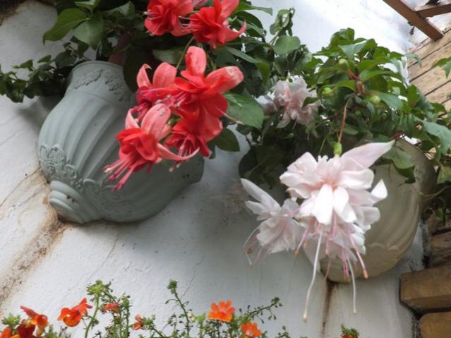 Name:  DSCF8014.jpg
Views: 292
Size:  49.0 KB