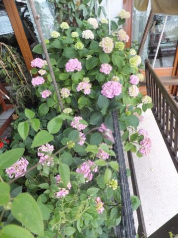 Name:  DSCF8037.jpg
Views: 254
Size:  40.0 KB