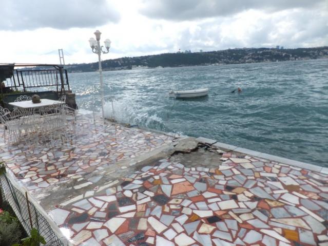 Name:  DSCF8050.jpg
Views: 715
Size:  55.9 KB