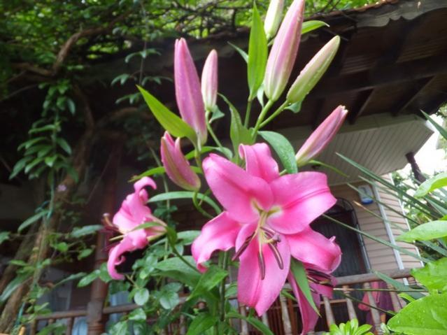 Name:  DSCF8085.jpg
Views: 264
Size:  50.9 KB