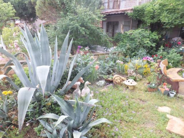 Name:  DSCF8146.jpg
Views: 232
Size:  68.7 KB